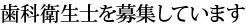 歯科衛生士を募集しています