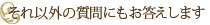 それ以外の質問にもお答えします